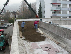 Jäger Dachdecker und Spenglerei - Dachbegrünung